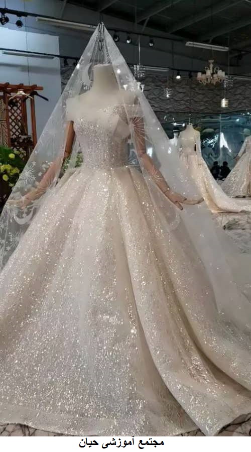 first photo of the bride dress model 5